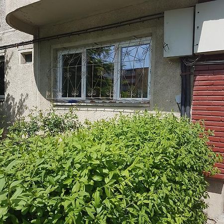 Apartamente Marian Μπρασόβ Δωμάτιο φωτογραφία