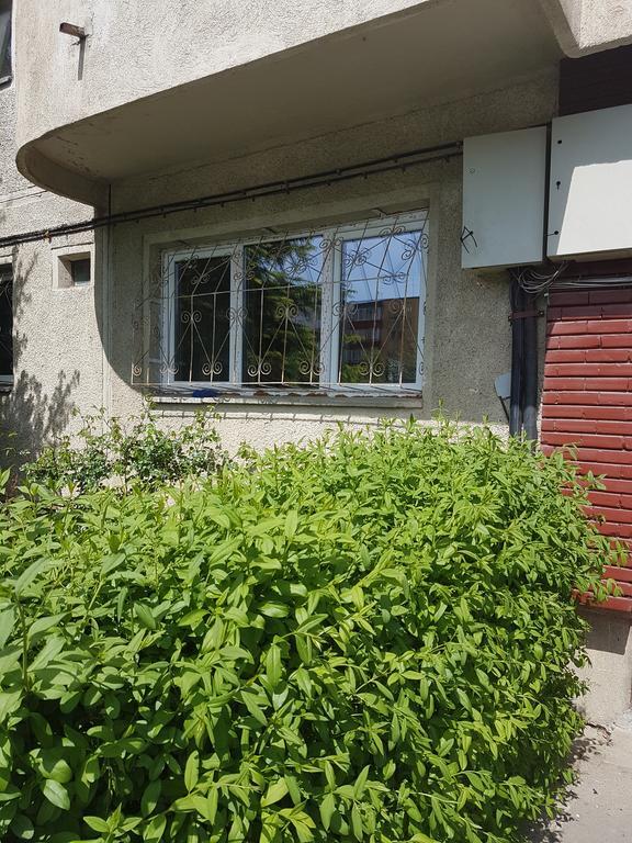 Apartamente Marian Μπρασόβ Δωμάτιο φωτογραφία